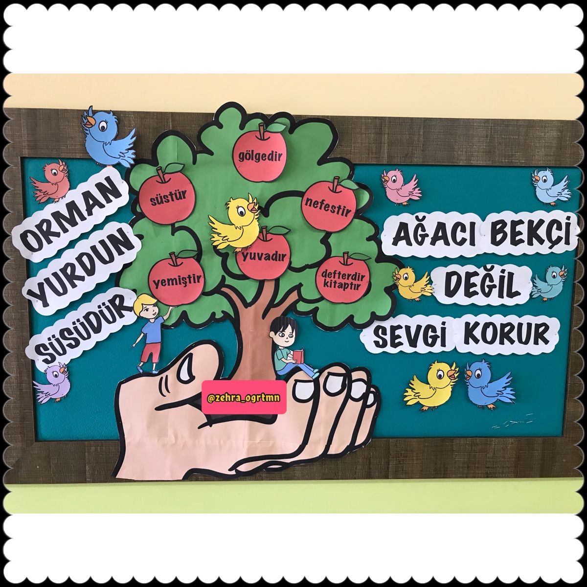 Orman Haftası Pano Görselleri