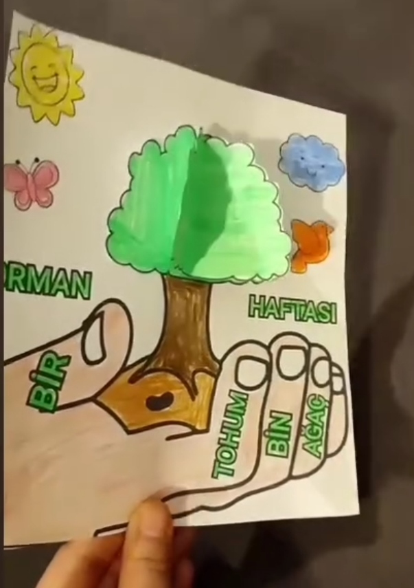 ORMAN HAFTASI TOHUMLU EL 
