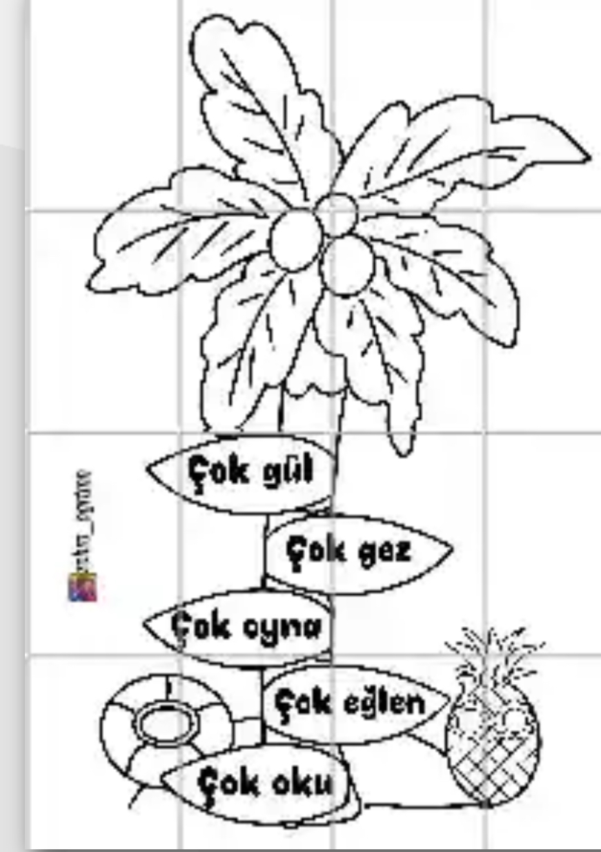 16 A4 Palmiye Ağaç RENKSİZ