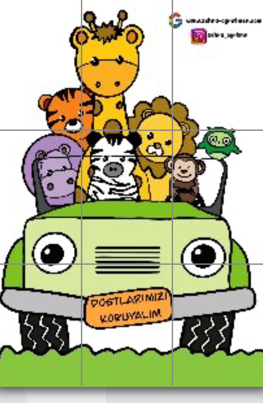 9 A4 Hayvanlar RENKLİ