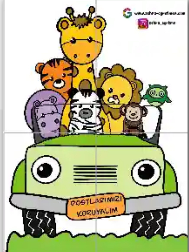 4 A4 Hayvanlar RENKLİ