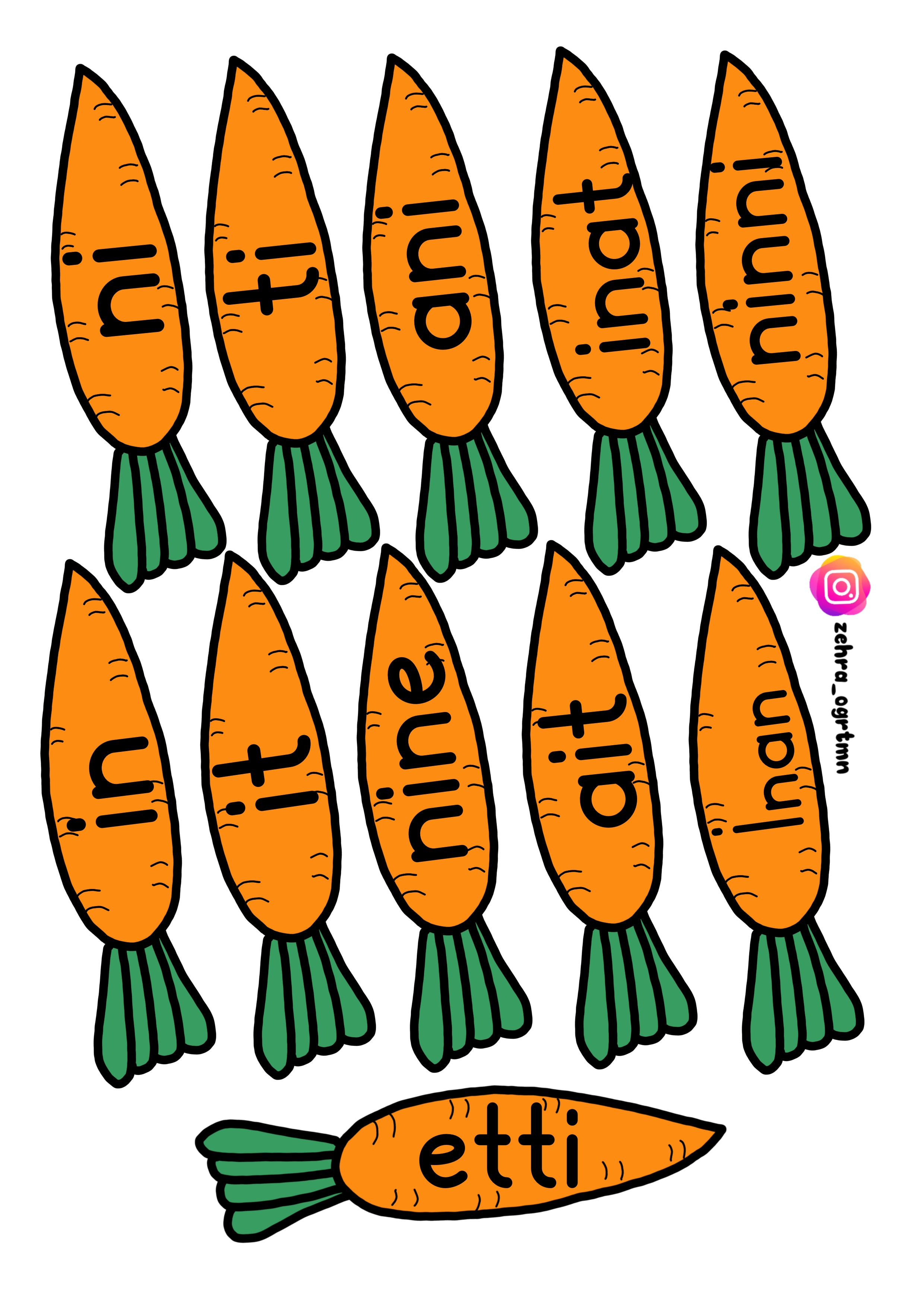 İ Sesi Tavşan Havuçları