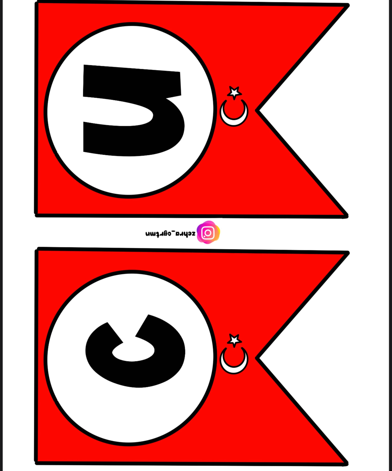 Cumhuriyetimiz 102 Yaşında Flama