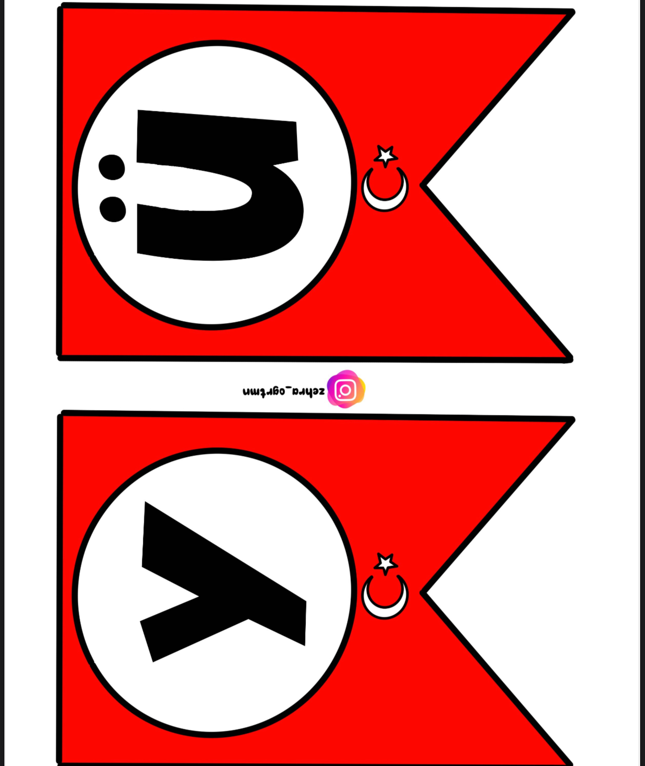 Yüzyıllar Yaşa Cumhuriyet Flama