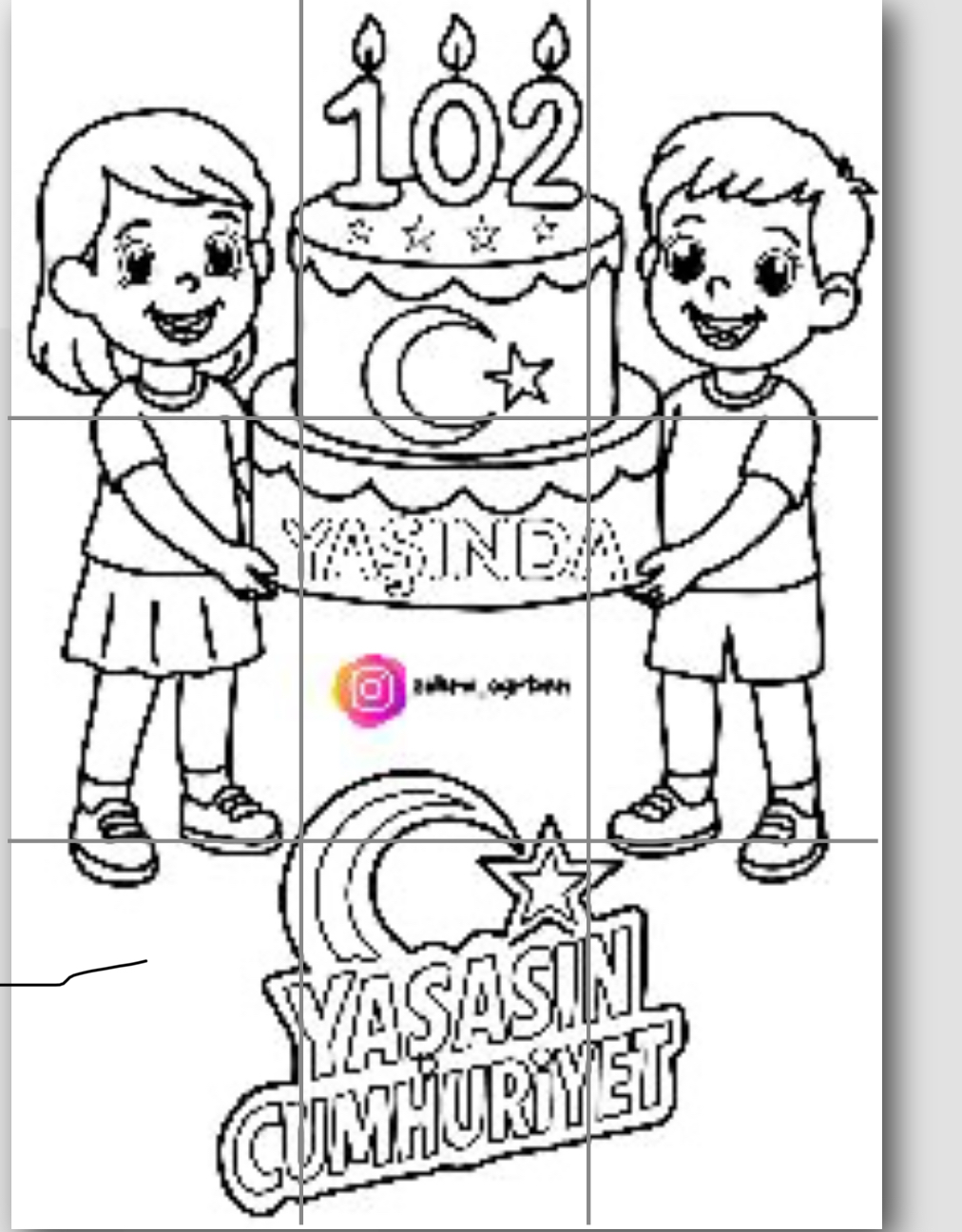 9 A4 102 Yaşında Pastası RENKSİZ