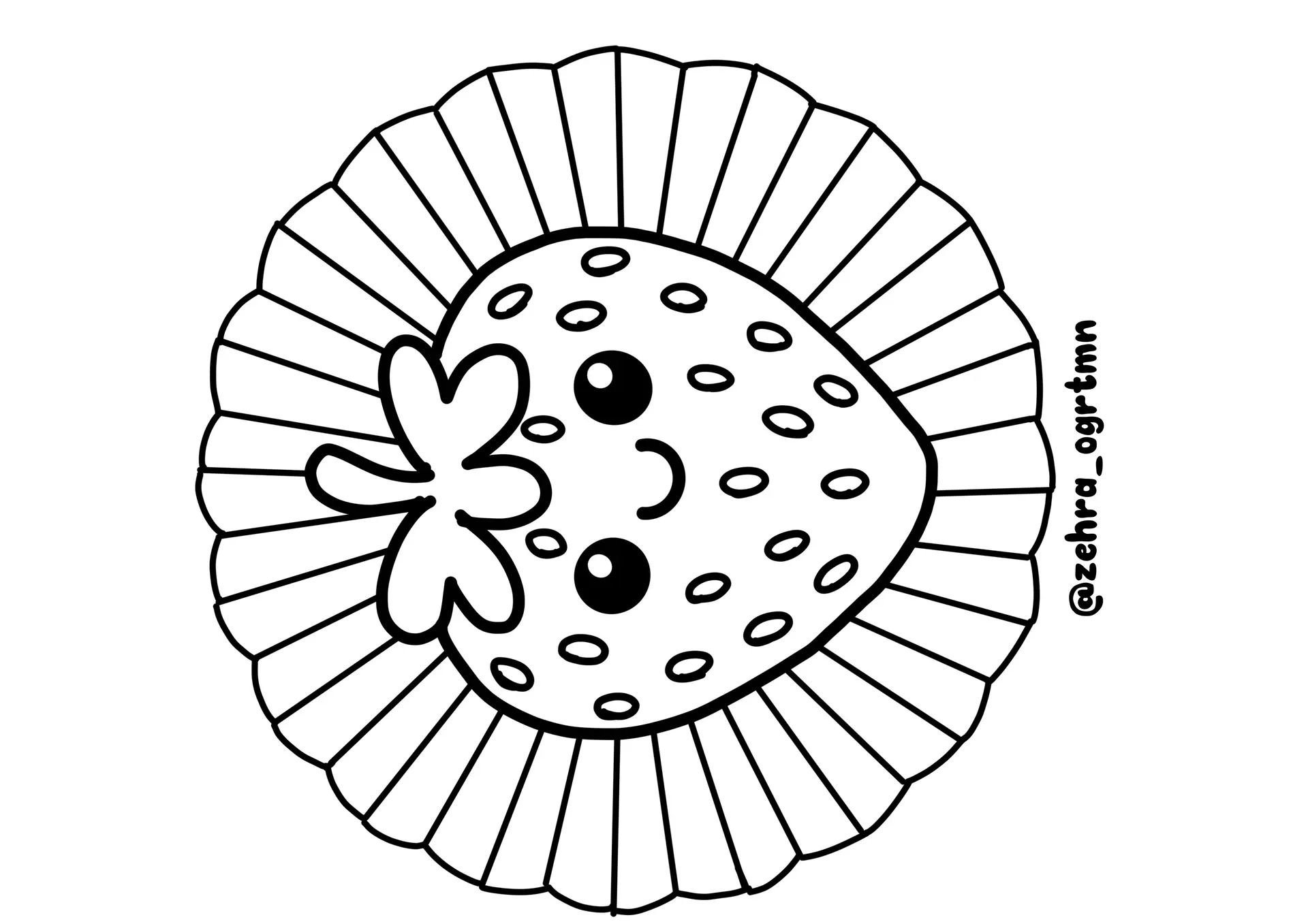 2 A4 Meyve Sebze Rozetleri RENKSİZ